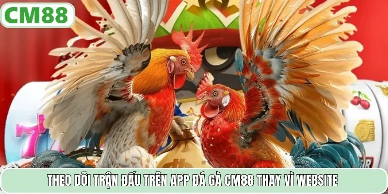 Theo dõi trận đấu trên app đá gà CM88 thay vì website